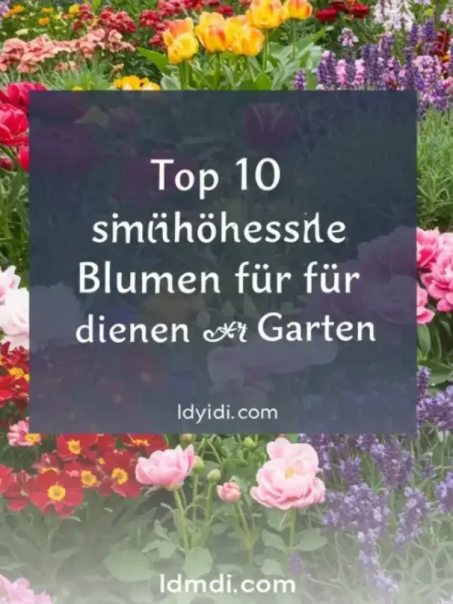 Top 10 wunderschöne Blumen für deinen Garten